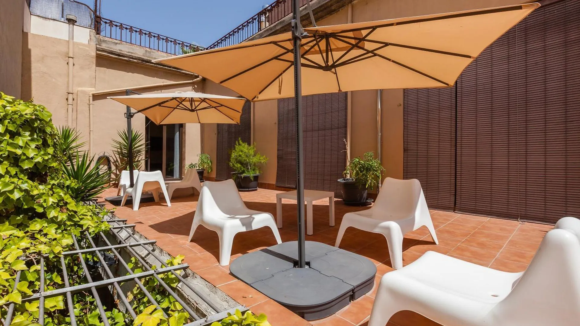 Apartament Ull De Llebre Vilafranca del Penedes Apartment
